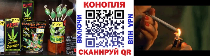 Canna-Cookies конопля сколько стоит Дно
