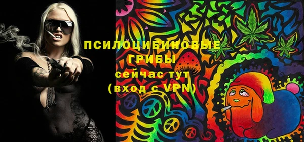 PSILOCYBIN Алексеевка