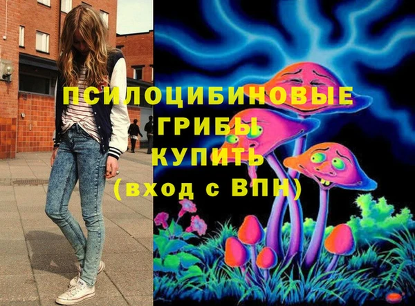 PSILOCYBIN Алексеевка