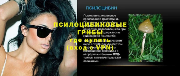 соль ск Алексин