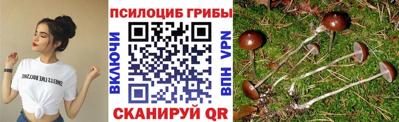 Псилоцибиновые грибы GOLDEN TEACHER Дно